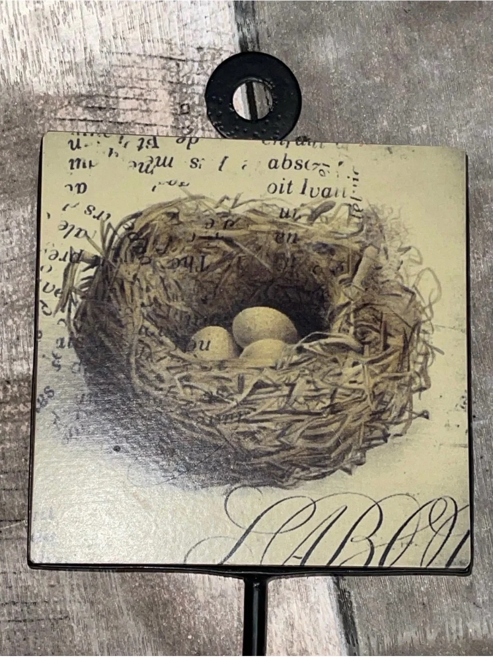 Vintage Plaque Birds Nest & Eggs Decorative Medal Hook Decor Nature